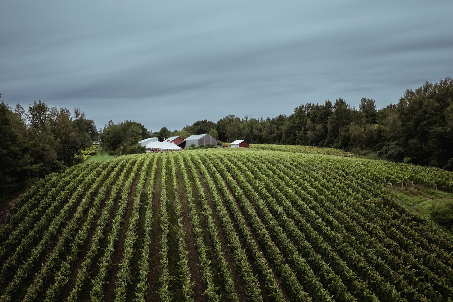 Juillet 2023 - Menu Extra X Domaine du Nival