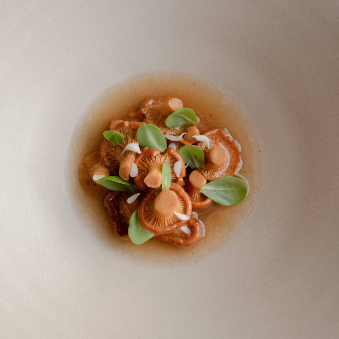Menu Extra & Dan Climan