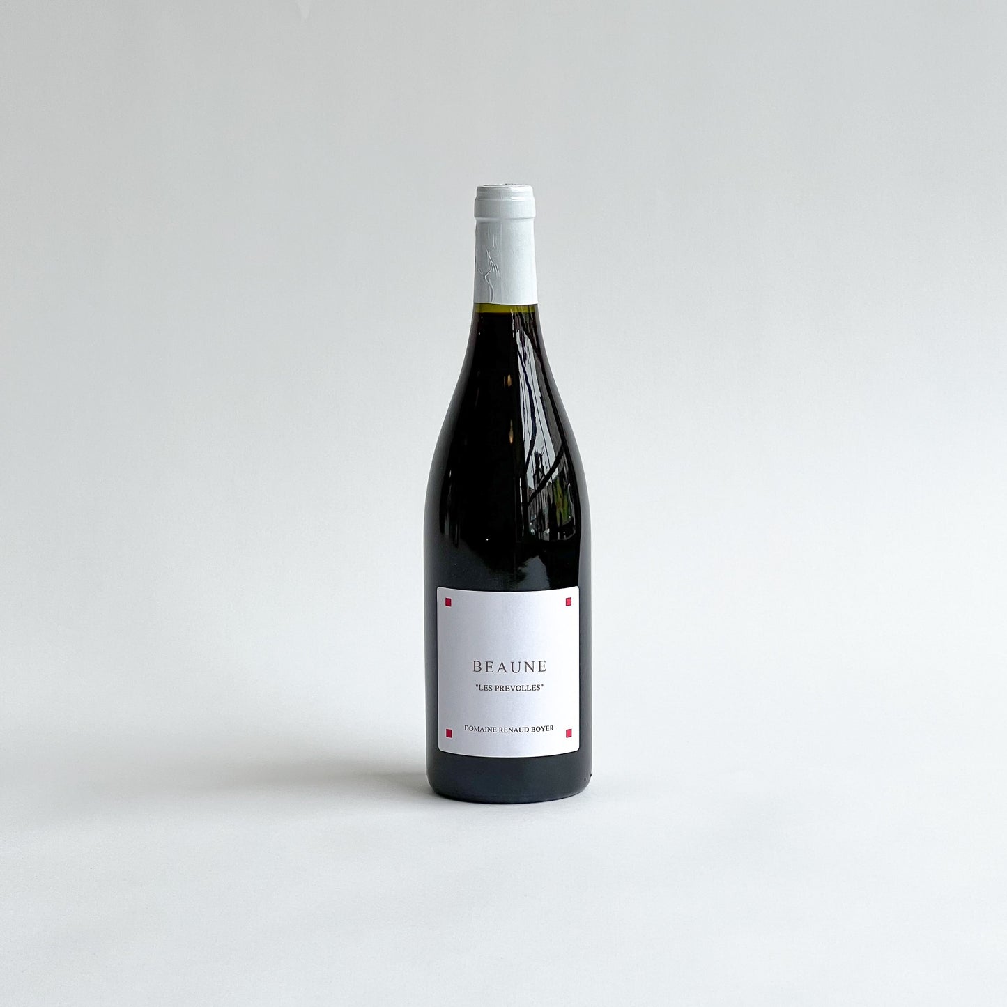 Renaud Boyer, Burgundy Hillsides, Waiting - Riaux